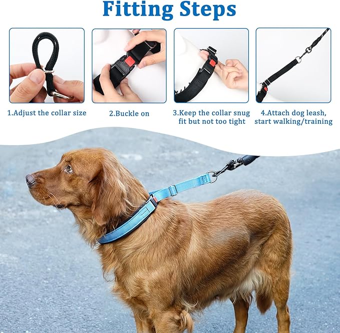 Mayerzon No Pull Dog Collar, Patented Martingale Collar for Small Medium Large Dogs with Buckle and Heavy Duty Nylon for Walking Training Hunting, Safe and Easy to Use(L, Blue)