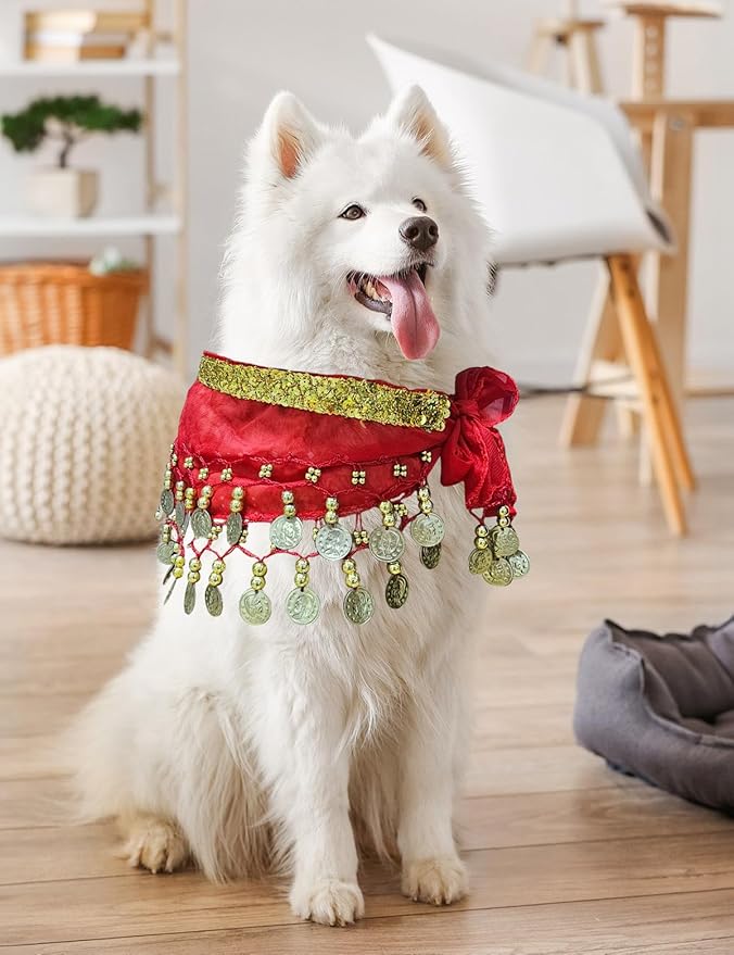 Dog Belly Dancer Costume - Puppy Outfit with Sequin Waist Chain & Hip-Shaking Skirt - Ideal for Corgi and Puppy Birthday Parties or Halloween Celebrations(Small,Red)