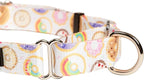 Downtown Pet Supply - Martingale Collar for Dogs - Dog Training Collar - Big, Wide & Thick Dog Collar - Escape-Proof, Weatherproof, Durable and Comfortable - Donut - Medium Dog Collar