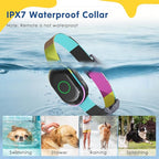 Lychee Training Collar (Black)