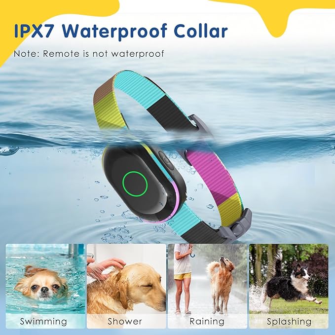 Lychee Training Collar (Black)