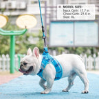 BEAUTYZOO Small Dog Harness and Leash Set,Step in No Choke No Pull Soft Mesh Dog Harnesses Reflective for Extra-Small/Small Medium Puppy Dogs and Cats, Plaid Dog Vest Harness for XS S Pets, Blue M