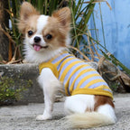 LOPHIPETS 100% Cotton Striped Dog Shirts for Small Dogs Chihuahua Puppy Clothes Tank Vest-Yellow and Gray Strips/S
