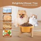 Elevated Ceramic Cat Bowl - Cat Food Bowl with Bamboo Stand - Raised Dog Dish for Puppies - Anti Vomiting, Stress Free - 13.5 oz / 400 ml - White