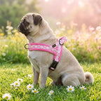 Didog No Pull Dog Harness with Soft Padded, Easy Walk Dog Harness with Quick Release Buckle, Adjustable & Reflective Pet Harness with Soft Padded for Small Medium Dogs (S:Chest 19-22", Pink)