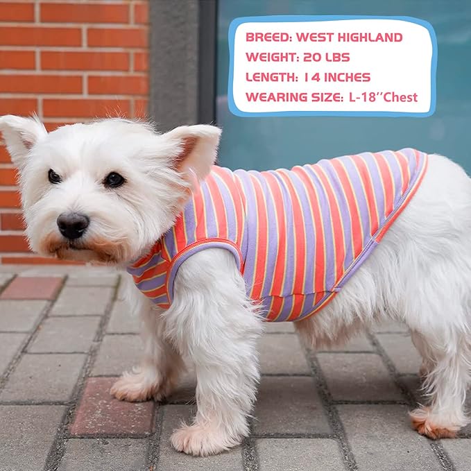 KYEESE 2Pack Dog Shirt, Soft Striped Dogs T Shirts, Lightweight Doggie Tank Top Cat Clothes, Sleeveless Dog Shirt for Small Dogs, Stretchy Pet Vest, Purple+Orange Striped, Medium
