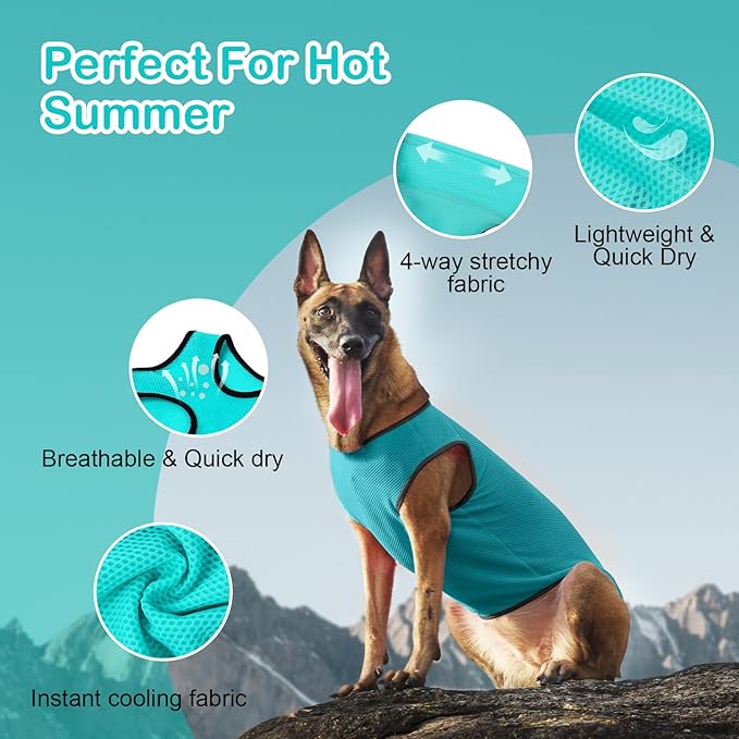 2 Pack Cooling Shirts for Dogs, Lightweight Mesh Breathable Dog Shirt for Small Dogs Boy, Sun-Protection Sleeveless Shirts for Dog&Cat Puppy Vest Pet Apparel P23ST00604S