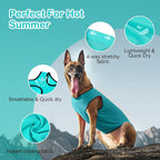 2 Pack Cooling Shirts for Dogs, Lightweight Mesh Breathable Dog Shirt for Medium Dogs Boy, Sun-Protection Sleeveless Shirts for Dog&Cat Puppy Vest Pet Apparel P23ST00604XXXL