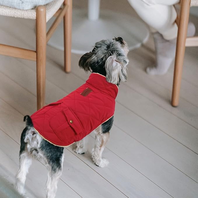 Queenmore Warm Dog Coat, Cold Weather Puffer Jacket with Ultra Thick Plush Lining and Storage Pockets (Red, Medium)