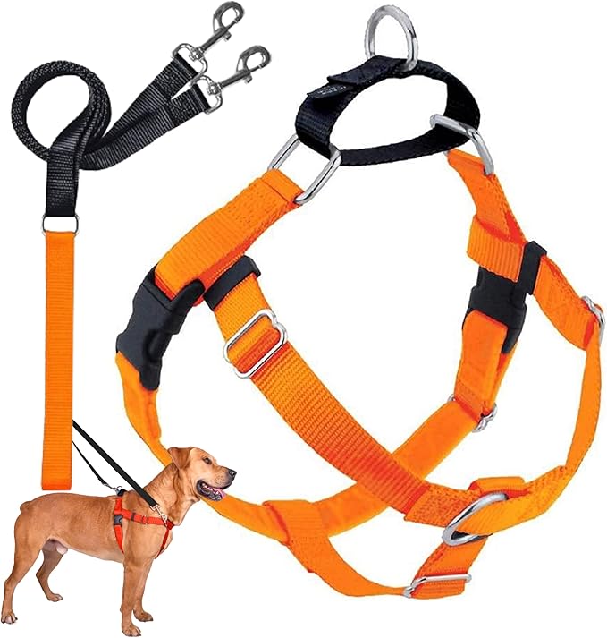 2 Hounds Design Freedom No Pull Dog Harness, Adjustable Harness and Leash Set, Easy Walking & Comfortable Control, Fits Small, Medium & Large Dogs, Solid Colors, Made in USA, 5/8" MD, Neon Orange