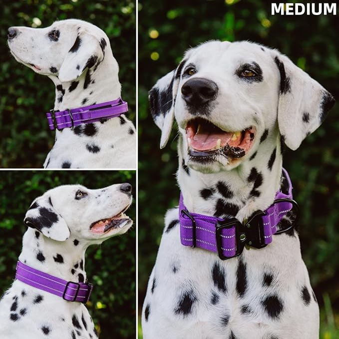 Tuff Pupper Tactical Dog Collar with Handle | Heavy Duty Adjustable Dog Collar | Military Nylon Collar for Medium Dogs | Quick-Release Buckle | Soft Padded Comfort | Training Control (Purple, Medium)