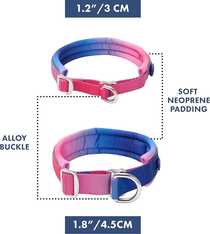 Spark Paws Martingale Dog Collar – Cushioned Slip-On Training Collar, Heavy Duty, Safety-Tested No-Buckle Collar for Medium & Large Dogs - Snow Cone - D