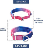 Spark Paws Martingale Dog Collar – Cushioned Slip-On Training Collar, Heavy Duty, Safety-Tested No-Buckle Collar for Medium & Large Dogs - Snow Cone - D