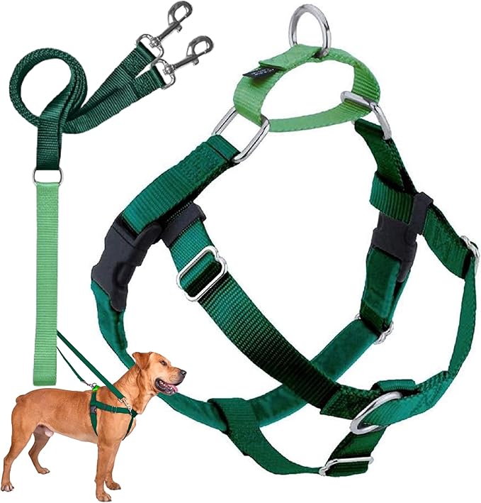 2 Hounds Design Freedom No Pull Dog Harness, Adjustable Harness and Leash Set, Easy Walking & Comfortable Control, Fits Small, Medium & Large Dogs, Solid Colors, Made in USA, 5/8" MD, Kelly Green