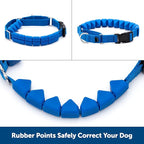 PetSafe Soft Point Training Collar - Comfortable No-Pull Adjustable Quick-Release Collar with Removable Soft Rubber Points - Pain-Free Training for Better Leash Manners - Medium - Blue
