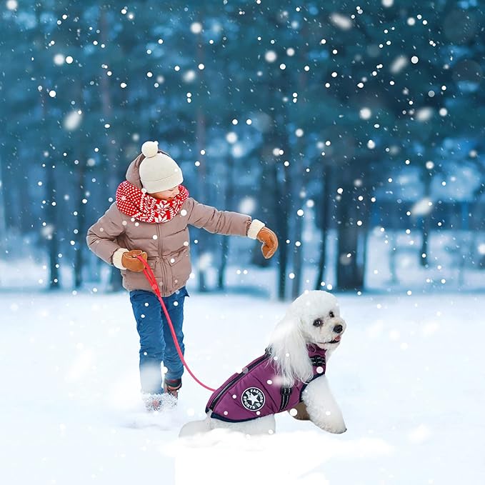 Warm Dog Winter Coat, Dog Cold Weather Jacket with Built-in Harness, Reflective & Adjustable Comfortable Pet Vest, Windproof Apparel for Small Medium Large Dogs (Purple)