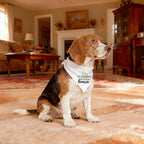 Family Kitchen Fun Puppy Dog Bandana Scarf - My Parents are Getting Me A Human Scarf Accessories, Accessories for Dog Lovers Owner Gift