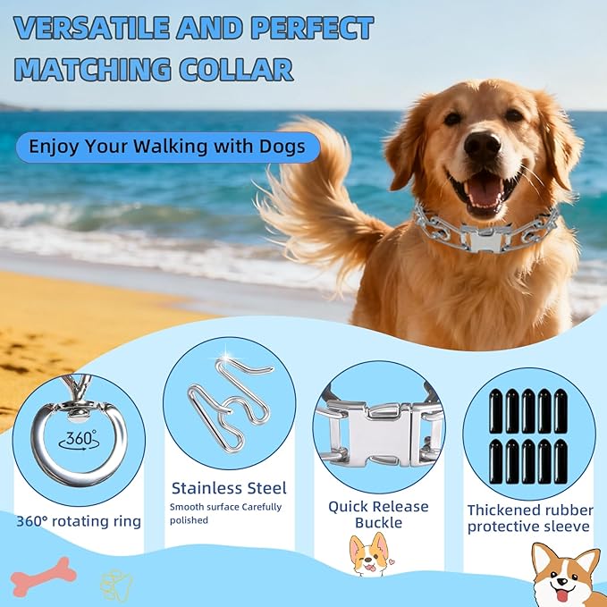 Adjustable No Pull Dog Collar with Cap for Small, Medium and Large
