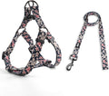 QQPETS Dog Harness Leash Set Adjustable Heavy Duty No Pull Halter Harnesses for Small Medium Large Breed Dogs Back Clip Anti-Twist Perfect for Walking