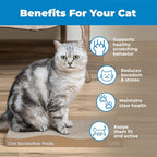 Best Pet Supplies Catify Cat Scratcher, Fun Interactive Scratchers, Posts, Poles, Claw Safe, Furniture Saver Indoor Play Support Natural Cat Behaviors Heavy Duty - Wave (2 Pack), 17.25 x 8.5