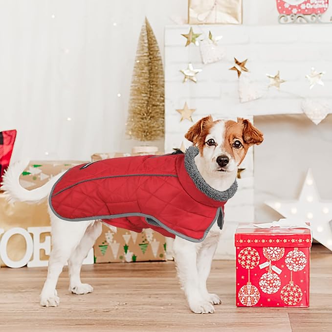 Fragralley Dog Coat Medium, Waterproof Dog Jacket with Warm Fleece Lining, Adjustable Reflective Dogs Winter Coat, Turtleneck Pet Coats for Cold Weather (Red M)