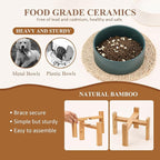 Elevated Ceramic Large Dog Bowl - Raised Dog Dish with Bamboo Stand - Heavy Weighted, No Tip Over, Comfortable Eating - 8.4" Diameter - 4.5 Cups - 68 fl oz - Green