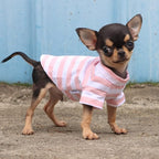 LOPHIPETS 100% Breathable Cotton Striped Dog Tee Shirt T-Shirt for Small Dogs Teacup Chihuahua Yorkie Puppy Clothes -Pink and White Strips/XS