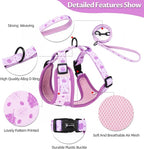 Dog Harness and Leash Set, Adjustable Dog Harness, Dog Leash, No Pull No Choke Puppy Harnesses for Walking Training for Small Medium Pet (Wines, M(Chest 15.7-22.1", Neck 12-15"))