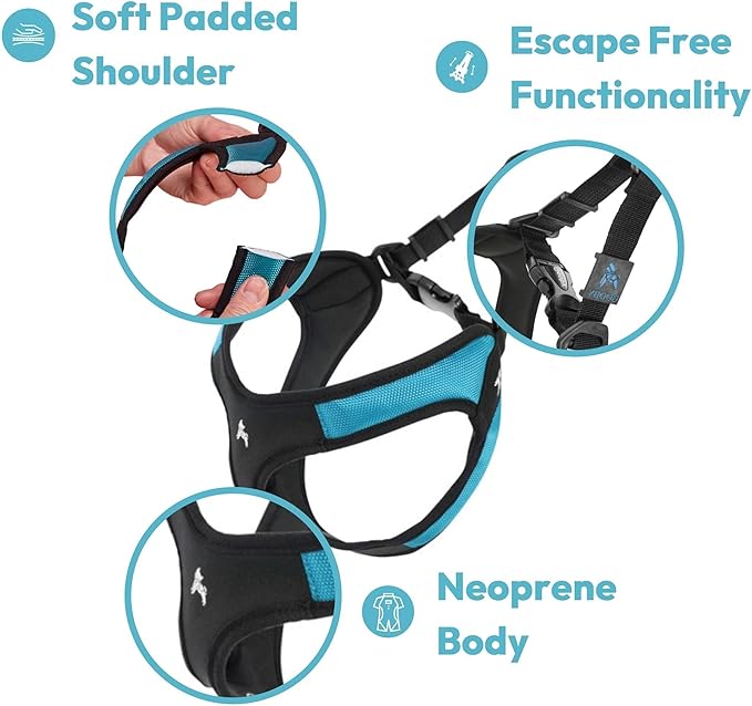 Gooby - Escape Free Easy Fit Harness, Small Dog Step-in Harness for Dogs that Like to Escape Their Harness, Turquoise, Medium