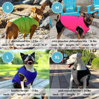 Gooby Padded Vest Dog Jacket - Solid Blue, Small - Warm Zip Up Vest Fleece Jacket with Dual D Ring Leash Water Resistant for Small to Medium Dogs