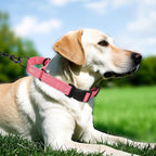 Martingale Collar for Dogs with Quick Release Buckle, Reflective Soft Padded & Escape Proof, Adjustable Nylon Dog Collars for Training & Daily Walking (Neon Pink,M)