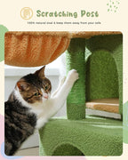 PEQULTI 31" Cat Tree for Indoor Cats, Multi-Level Cat Tower with Cozy Cat Condo Clearance Prime, Green