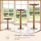 Sintuff Cat Window Perch with Scratching Post Climbing Tree Hammock Mounted with Suction Cups 46 Inch Tall Adjustable Narrow Cat Tree Climbing Pole for Playing Sleeping Watching Birds(Square)