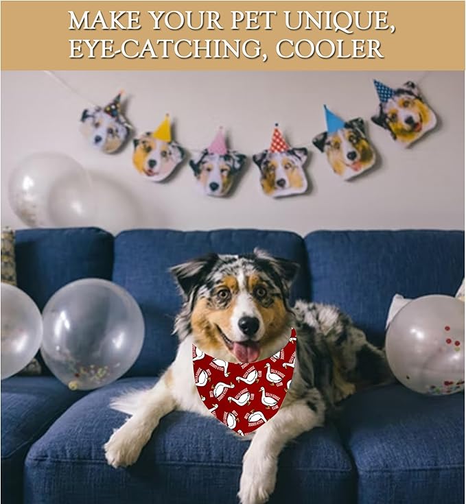 JXGZSO 1 Piece Silly Goose Triangle Dog Bandana Meme Goose Duck Merchandise (Silly Goose D red)