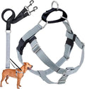 2 Hounds Design Freedom No Pull Dog Harness, Adjustable Harness and Leash Set, Easy Walking & Comfortable Control, Fits Small, Medium & Large Dogs, Solid Colors, Made in USA, 1" MD, Silver