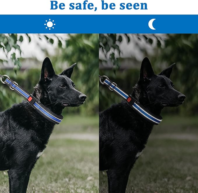 Mayerzon Martingale Collar for Dogs, No Pull Dog Collar with Reflective Strip for Small Medium Large Dogs, Anti Pulling Dog Collar with Buckle for Walking Training, Safe for Night Walk(Blue, M)