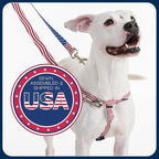 2 Hounds Design Freedom No Pull Dog Harness, Adjustable Harness, Easy Walking & Comfortable Control, Fits Small, Medium & Large Dogs, Solid Colors, Made in USA, 1" MD, Black
