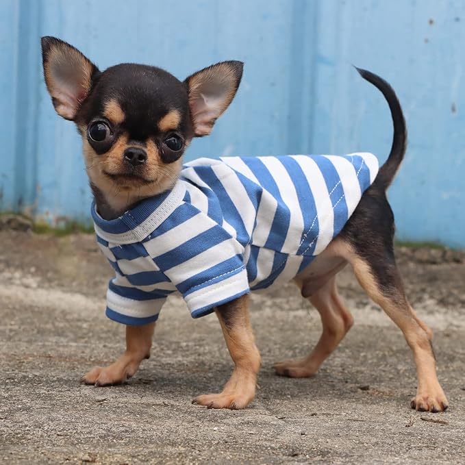LOPHIPETS 100% Breathable Cotton Striped Dog Tee Shirt T-Shirt for Small Dogs Teacup Chihuahua Yorkie Puppy Clothes-Blue and White Strips/XXS