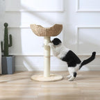 SHENGOCASE 2-Pack Small Cat Tree Tower with Wicker Rattan Basket, 17.7 inch Window Perch for Large Cats up to 25 lbs, Elevated Bed with Cushion