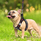PUPTECK Dog Harness and Leash Set for Small Medium Dogs No Pull Step-in Soft Mesh Puppy Cat Vest Harnesses Reflective at Night, Plaid Pattern Black L