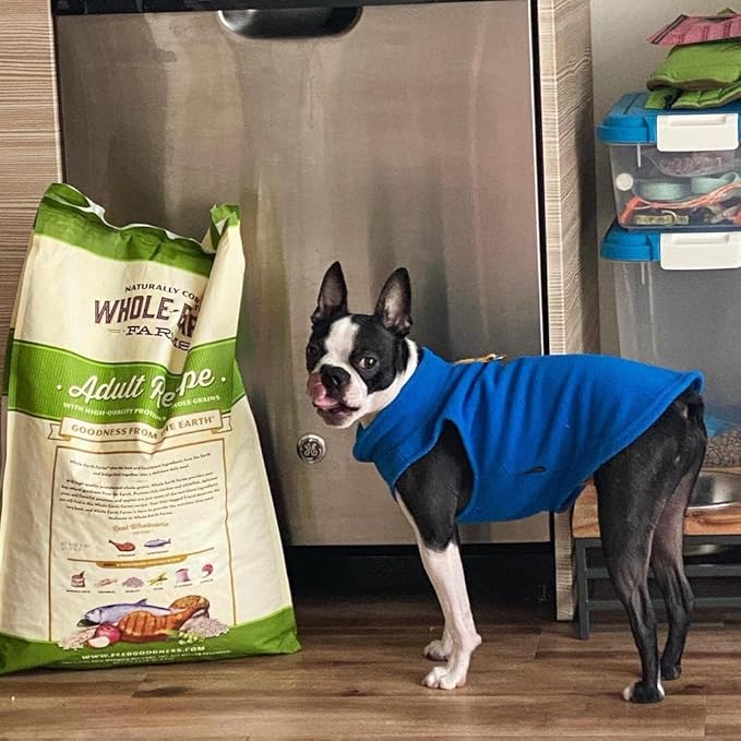 Gooby Fleece Vest Dog Sweater - Deep Blue, X-Small - Warm Pullover Fleece Dog Jacket with O-Ring Leash for Small to Medium Dogs
