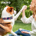 Hikiko Martingale Collar for Dogs Girl Dog Collars for Small Medium Large Dogs with Cute Female No Pull Dog Collar（Blue Rose,Medium）