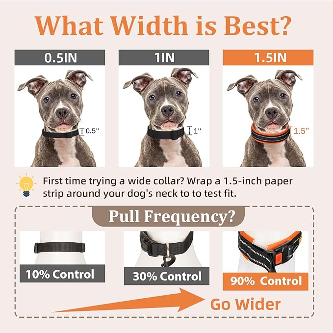 Mayerzon 1.5" Wide Martingale Collar for Large Medium Small Dogs Pitbull German Shepherd, No Pull Reflective Slip Martingale Dog Collar with Buckle Soft Padded for Walking Training(Orange, L)