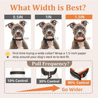Mayerzon 1.5" Wide Martingale Collar for Large Medium Small Dogs Pitbull German Shepherd, No Pull Reflective Slip Martingale Dog Collar with Buckle Soft Padded for Walking Training(Orange,XXL)