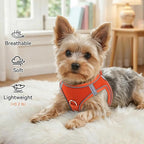 Joytale Small Dog Harness, Breathable Mesh Step-in Vest, Reflective Soft Padded Harnesses Small Sized Dog for Walking, Orange, S