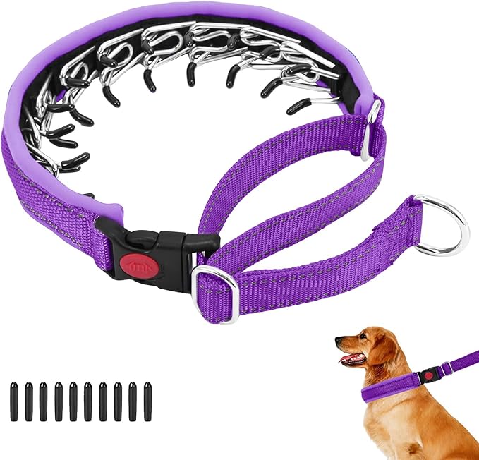 Martingale No Pull Dog Collar for Large Medium Small Dogs, Heavy Duty Nylon Reflective Adjustable Anti Pull Slip Collar with Buckle for Training Walking M Purple