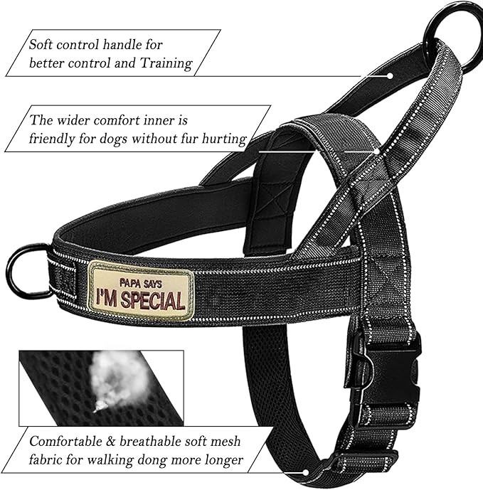 Green No Pull Dog Harness for Small Medium Large Sized Dog, Reflective Escape Proof Adjustable Dog Harnesses with 2 Patch, M