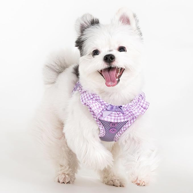 Puppia Vivien Dog Vest Harness B (Step-in) Fashionable Mesh Spring Summer Harness for Small Dogs, Violet, Small