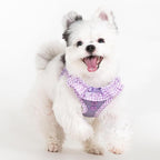 Puppia Vivien Dog Vest Harness B (Step-in) Fashionable Mesh Spring Summer Harness for Small Dogs, Violet, Small
