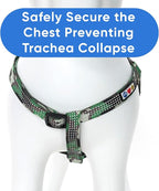 Pawtitas Reflective Step-in Dog Harness – Adjustable No-Pull Vest for Puppies to Seniors, Safe & Comfortable, L Camo Green